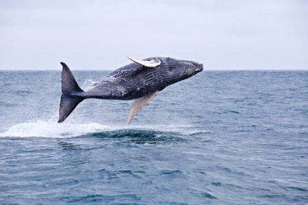 Ecuador Rest and Relaxation Destinations photo 3